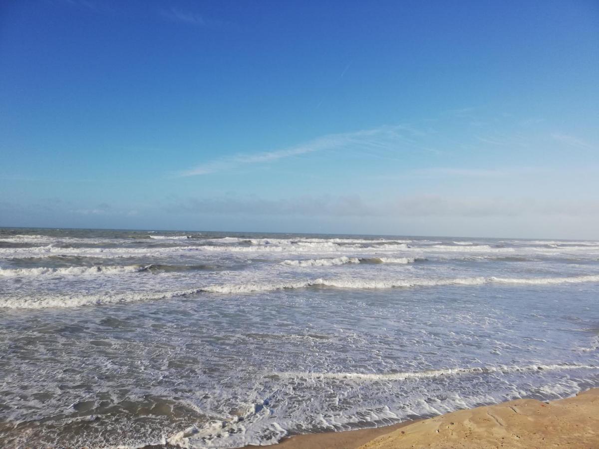 Joli Appt Cocooning Au Pied Des Dunes Berck Exterior foto